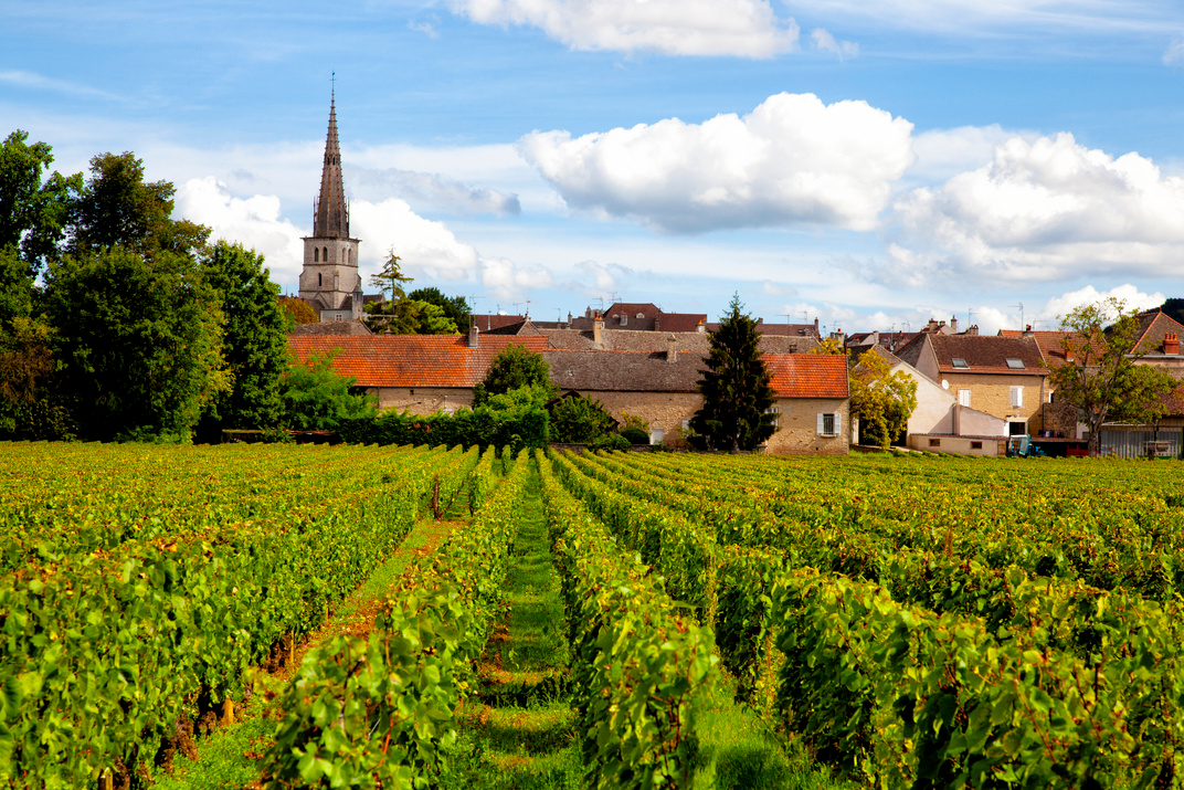 Région Bourgogne & Vallées des Vins